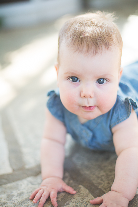 stl-baby-photography-46