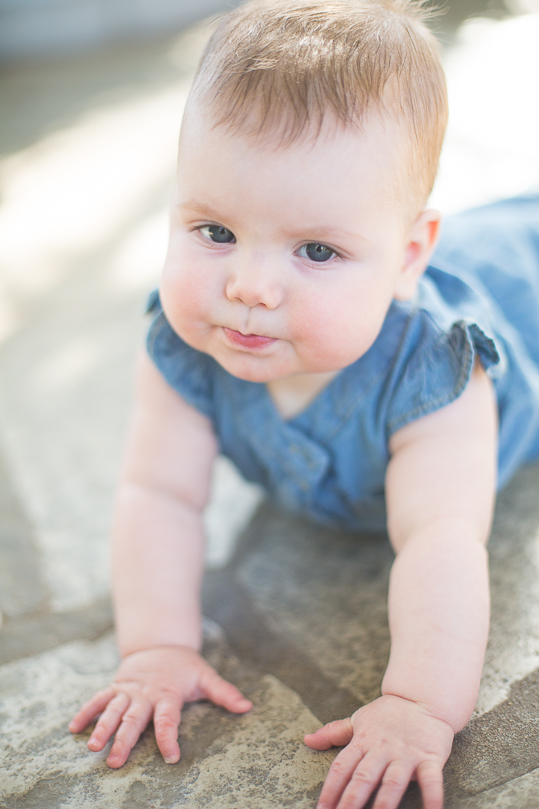stl-baby-photography-47
