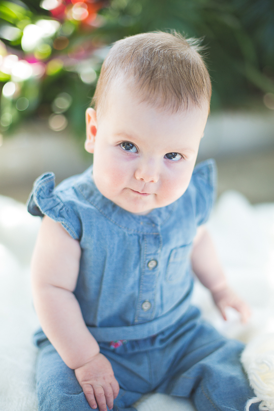 stl-baby-photography-53