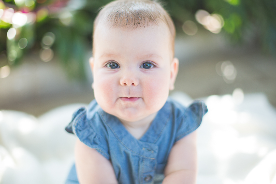 stl-baby-photography-55