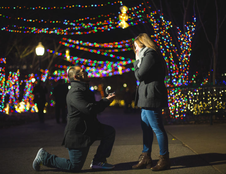 St. Louis Proposal Photography | Zoo Wild Lights