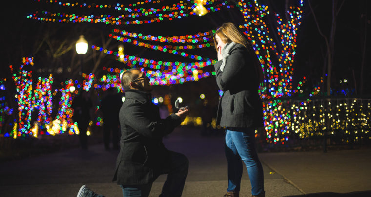 St. Louis Proposal Photography | Zoo Wild Lights
