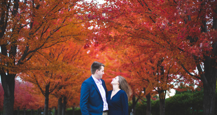 St. Louis Engagement Photography | Forest Park