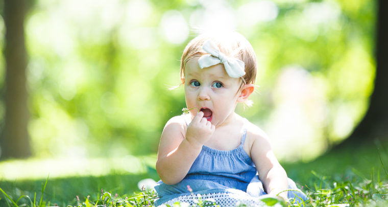 St. Louis Family Photography | Oak Knoll Park