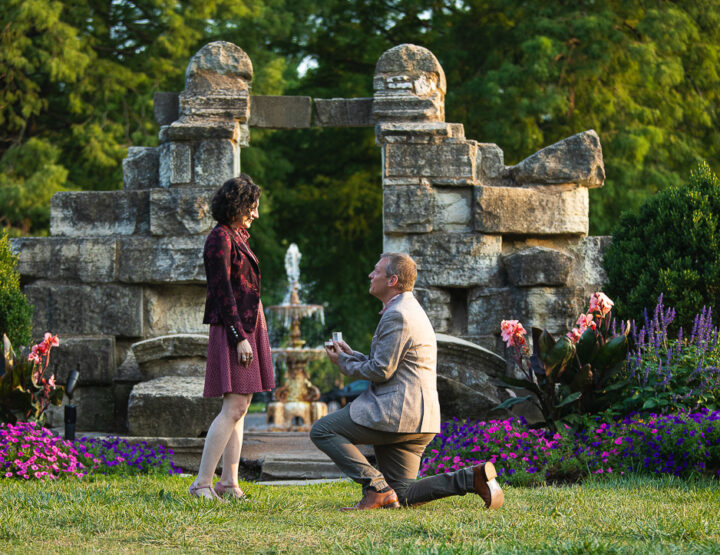 St. Louis Proposal Photography | Tower Grove Park