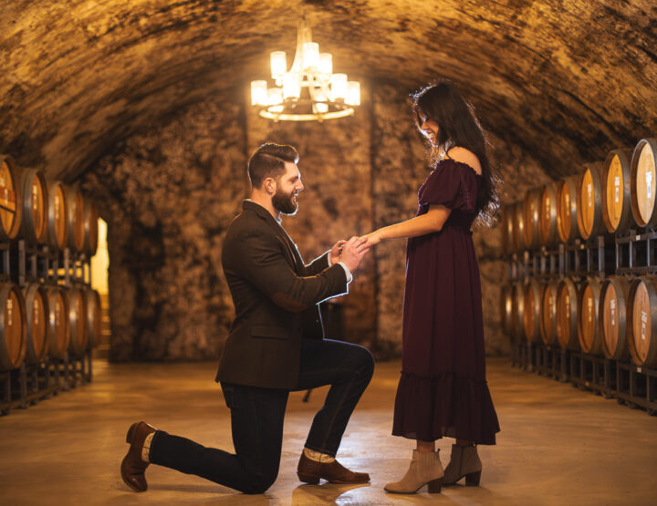 St. Louis Proposal Photography | Mount Pleasant Winery