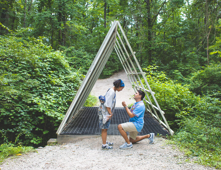 St. Louis Proposal Photography | Laumeier Sculpture Park